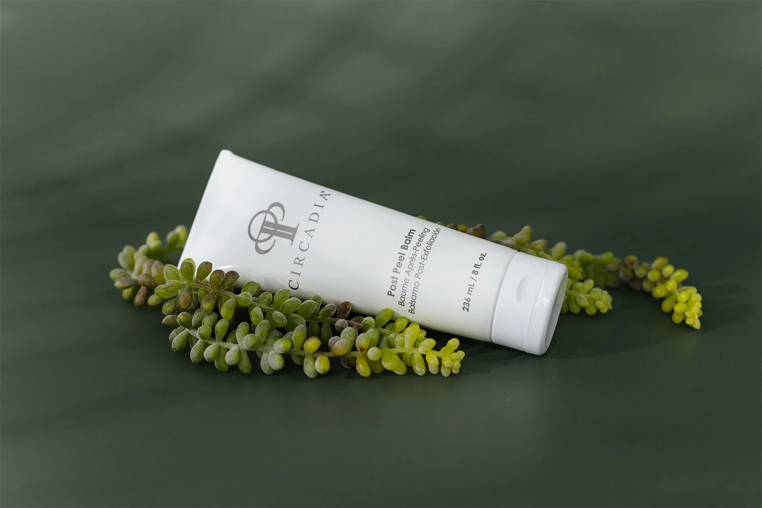 Ekspercki przewodnik: pantenol w produktach Circadia - Finałowe uszczelnienie (kremy i balsamy)